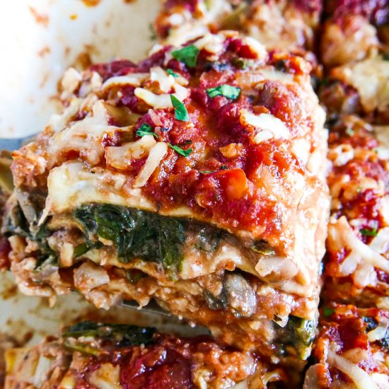 Vegetarian No Boil Lasagna