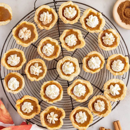 Mini Pumpkin Pies