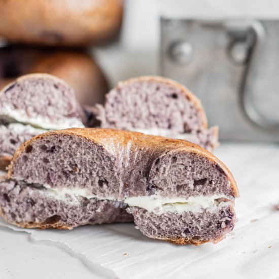 Homemade Blueberry Bagels