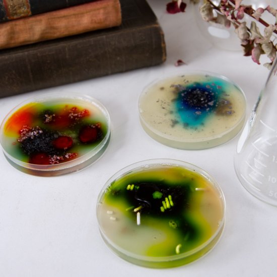 Petri Dish Treats