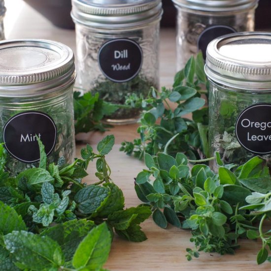 How to Dehydrate Herbs in Air Fryer