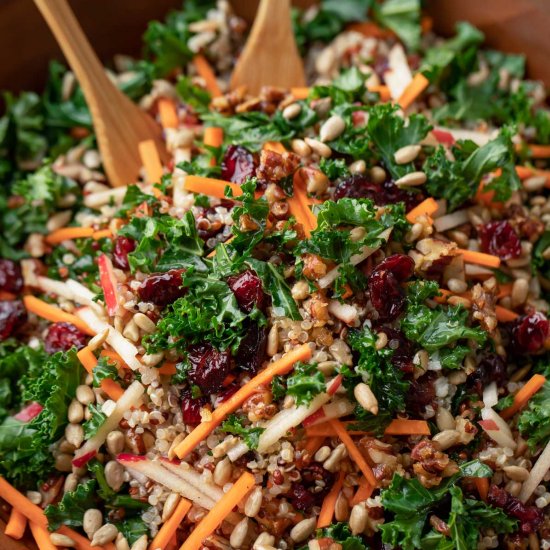 Kale Apple Cranberry Salad