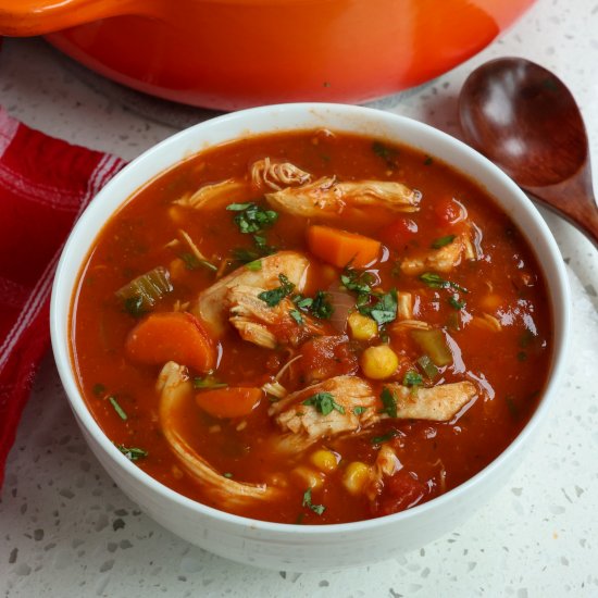 Mexican Chicken Soup