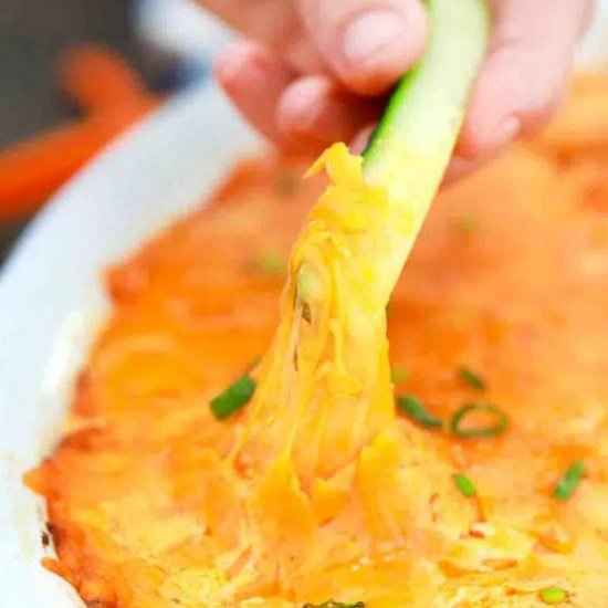 Instant Pot Buffalo Chicken Dip