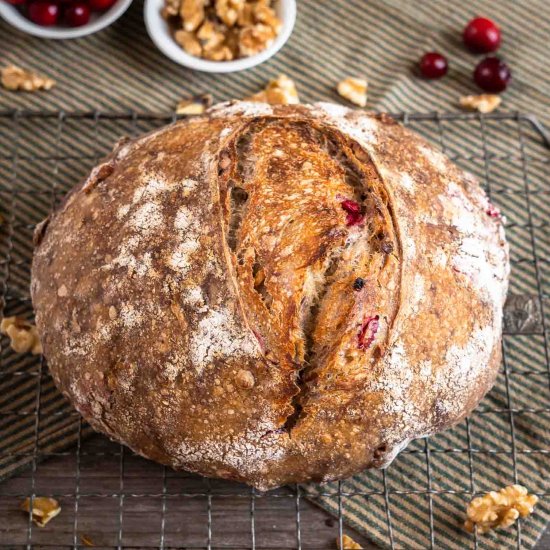 Cranberry Walnut Sourdough Bread