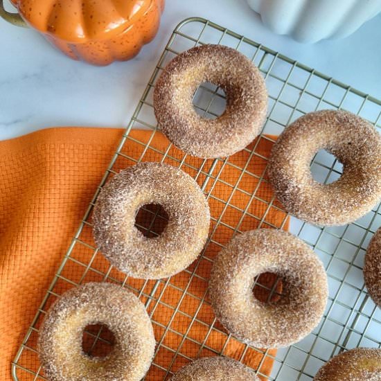 Cinnamon Sugar Pumpkin Cake Donuts