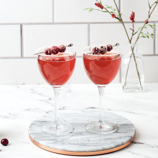 Sparkling Cranberry Mocktail