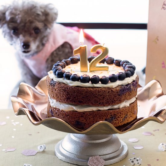 Dog Safe Blueberry Cake with Maple