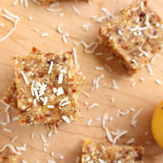 Raw Lemon Coconut Bars