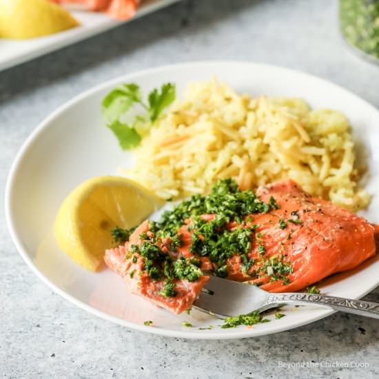 Sockeye Salmon