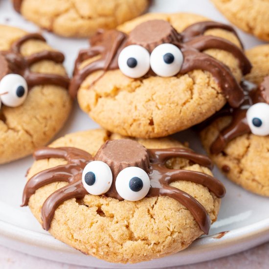 spider cookies