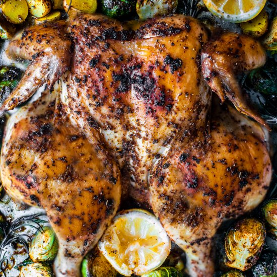 lemon herb spatchcocked chicken