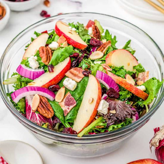 Favorite Fall Apple Cranberry Salad