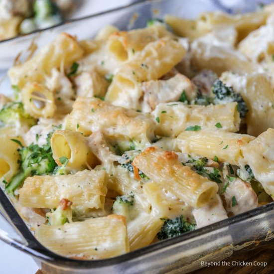 Chicken Alfredo Bake