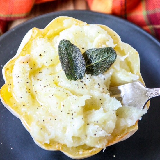 Quick & Easy Mashed Potato Squash