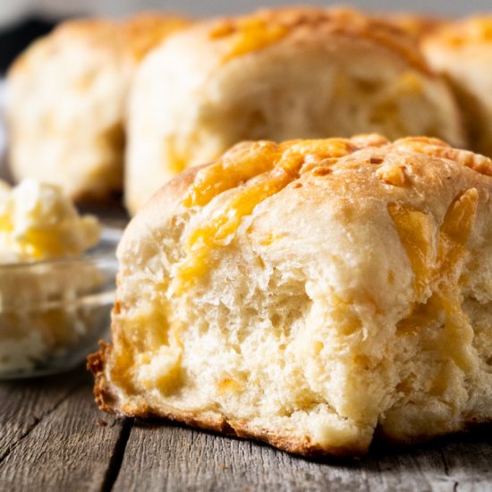 One-Rise Cheddar Cheese Rolls