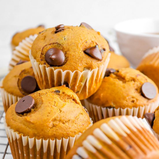 Pumpkin Chocolate Chip Muffins