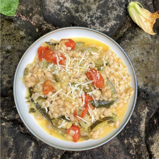 Barley, Tomatoes, Zucchini & Beans