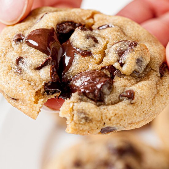 chewy chocolate chip cookies