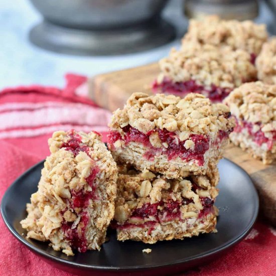 Cranberry Oatmeal Bars