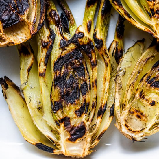 Grilled Fennel