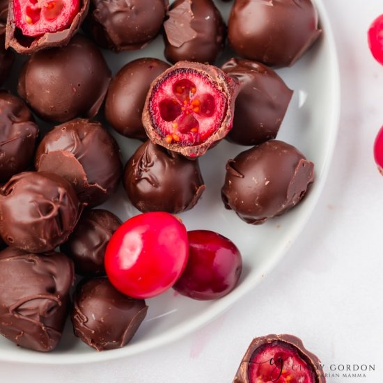 Chocolate Covered Cranberries