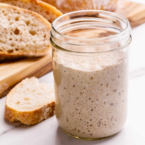 Sourdough Starter