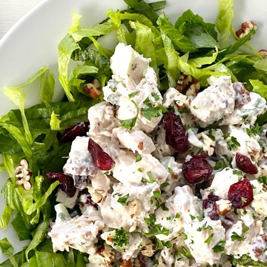 Cranberry Chicken Salad with Pecans