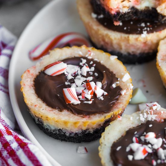 Peppermint Bark Cheesecake Bites