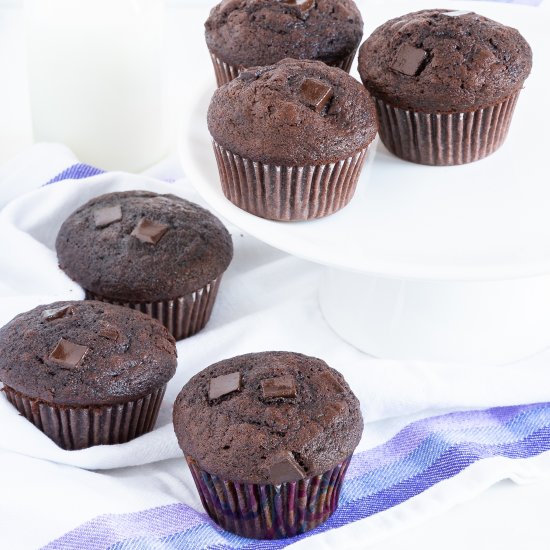 Bakery-Style Chocolate Muffins