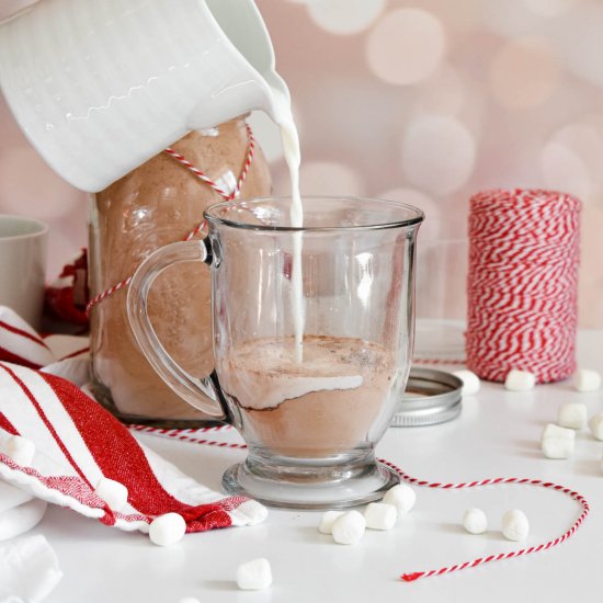 Homemade Hot Cocoa Mix