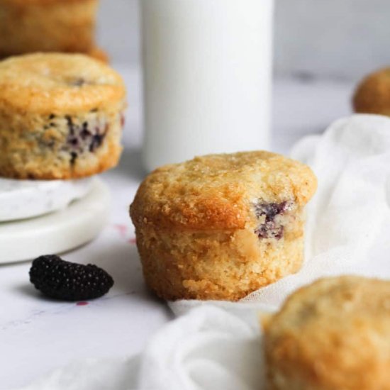 Mulberry Muffins