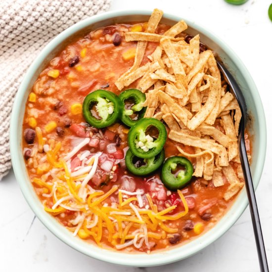 Instant Pot Vegan Tortilla Soup