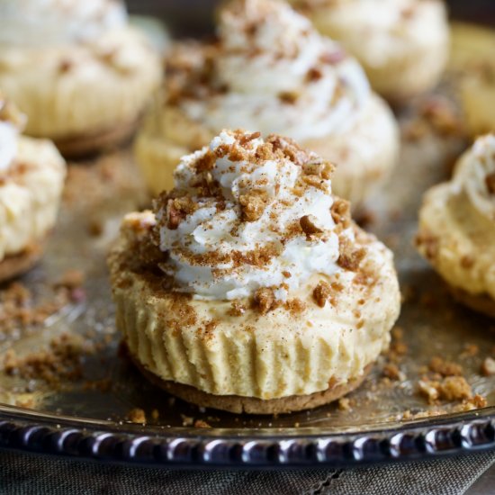 Mini No-Bake Pumpkin Cheesecakes