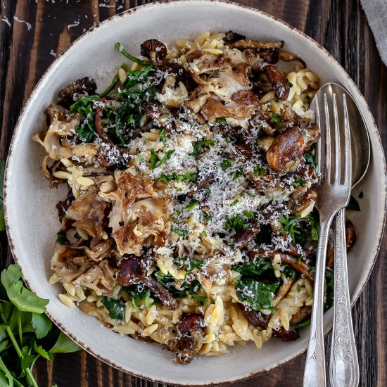 Mushroom Orzo Risotto