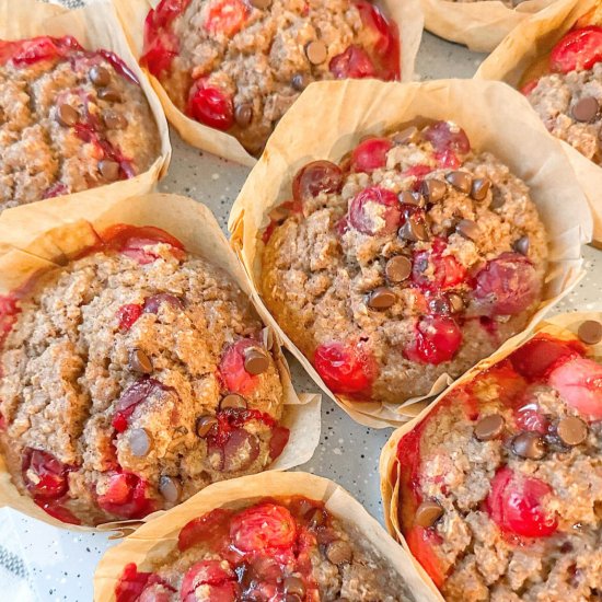 Cranberry Oatmeal Blender Muffins