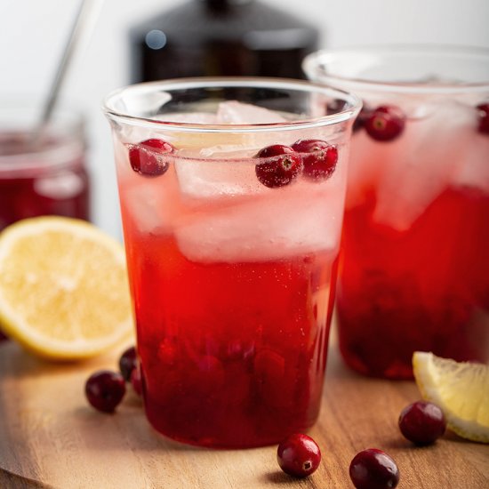 Fresh Cranberry Gin and Tonic