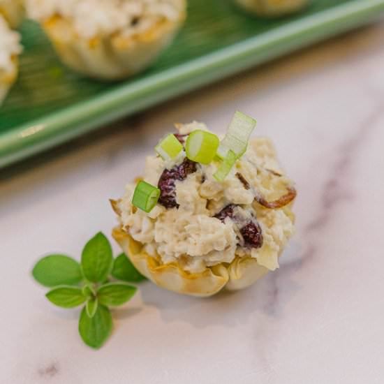 Easy Turkey Salad Appetizers