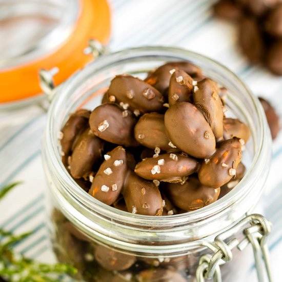 Dark Chocolate Salted Almonds