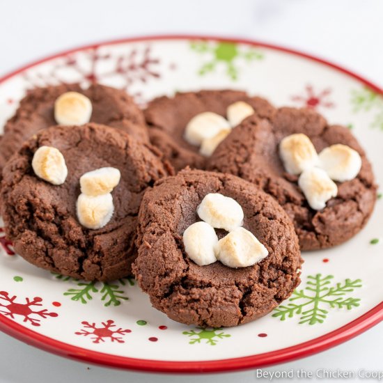 Hot Chocolate Cookies