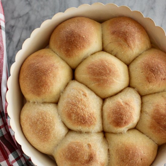 Bread Machine Buttery Rolls