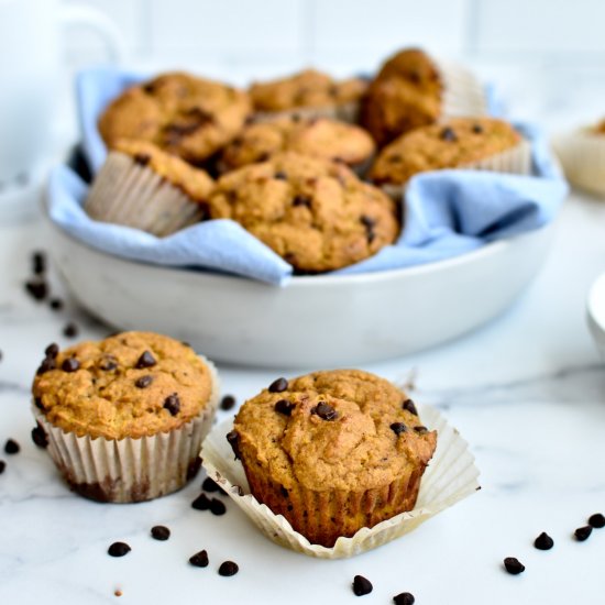 Pumpkin Chocolate Protein Muffins