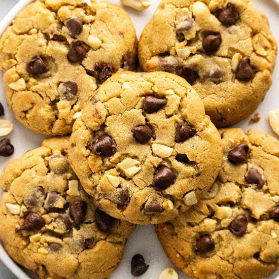 Peanut Butter Chocolate Chip Cookie