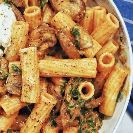 Rigatoni in a Red Pepper Sauce