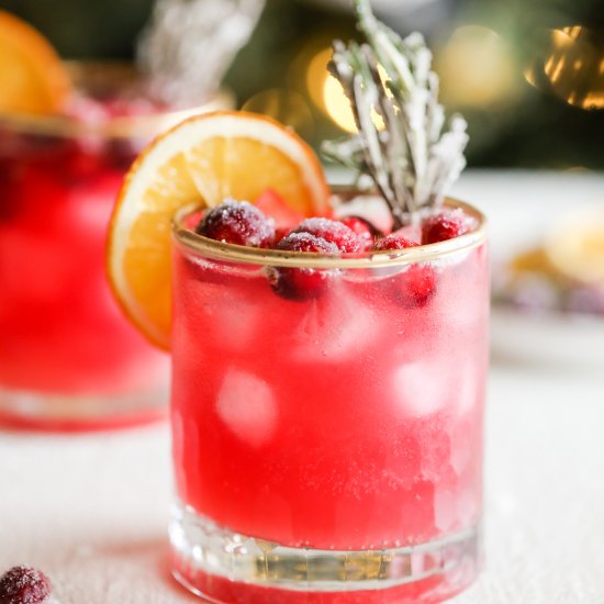 Cranberry Ginger Fizz Mocktail