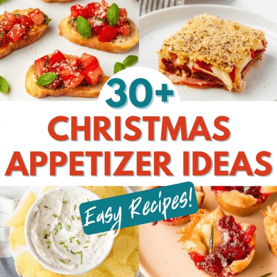 30+ Christmas Appetizers Ideas