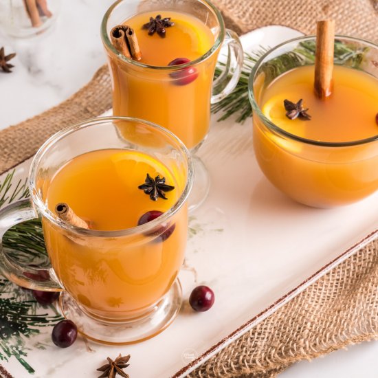 Wassail Hot Mulled Cider Recipe