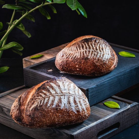 Open Crumb Sourdough Bread