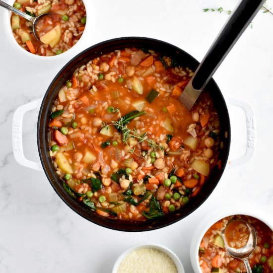 Vegetable Orzo Soup