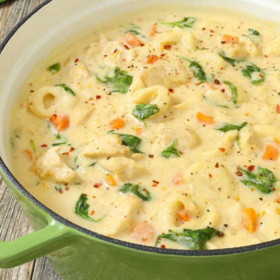 Chicken Alfredo Tortellini Soup